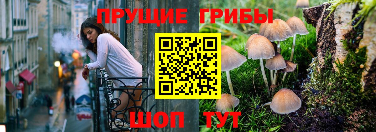 Галлюциногенные грибы GOLDEN TEACHER Москва