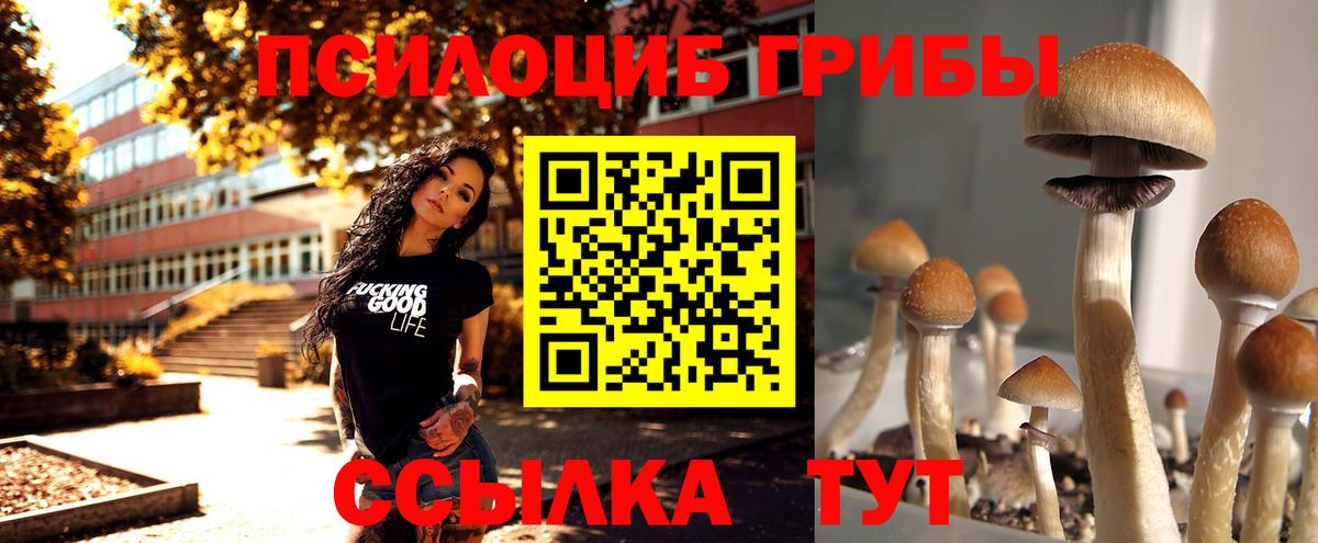 Москва  Галлюциногенные грибы Cubensis  Вход с VPN 